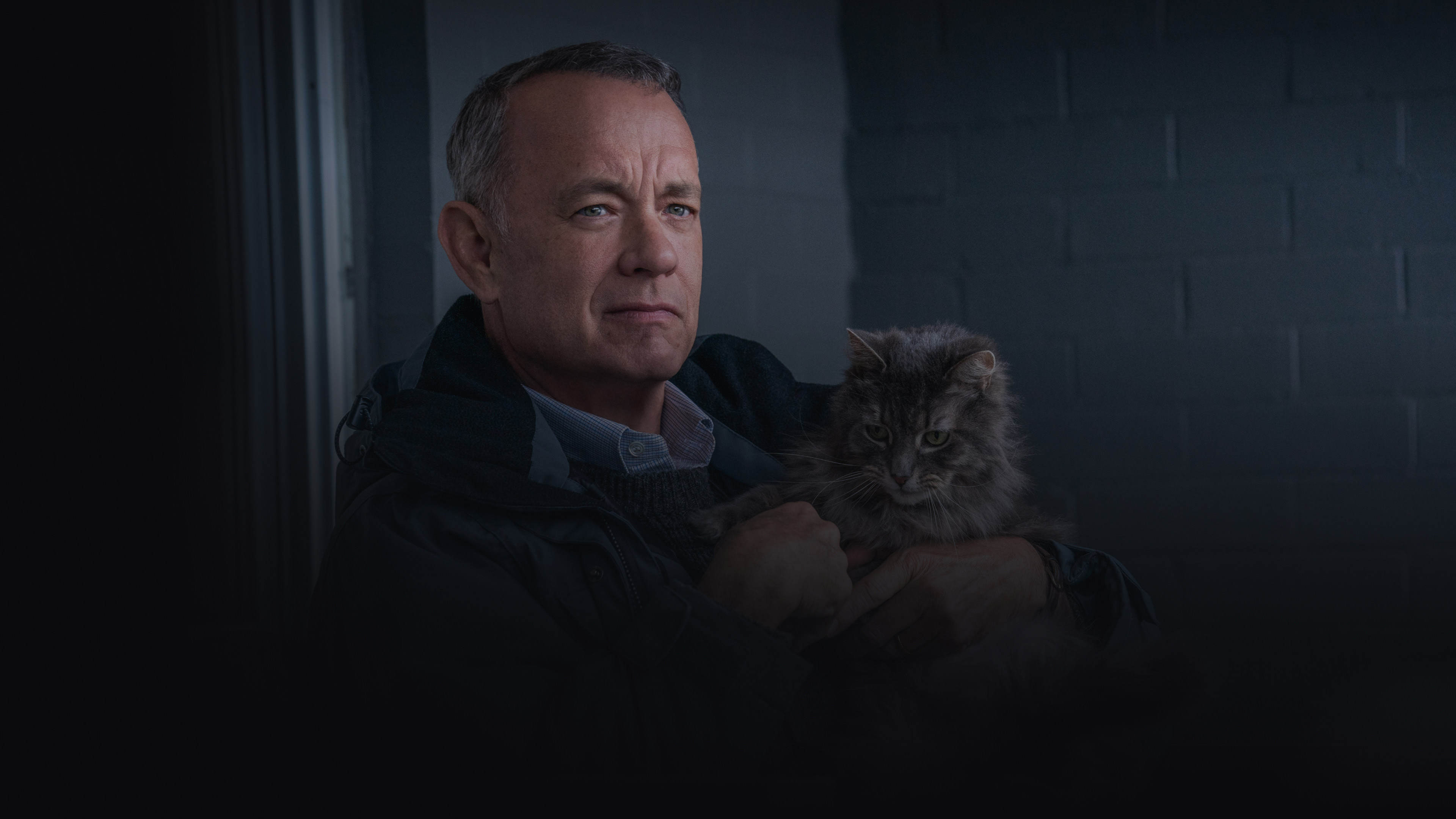 Images de fond d'En vedette : Tom Hanks
