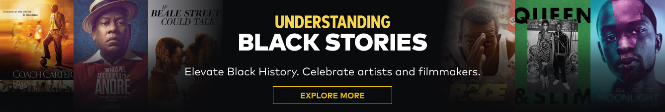 Understanding Black Stories
