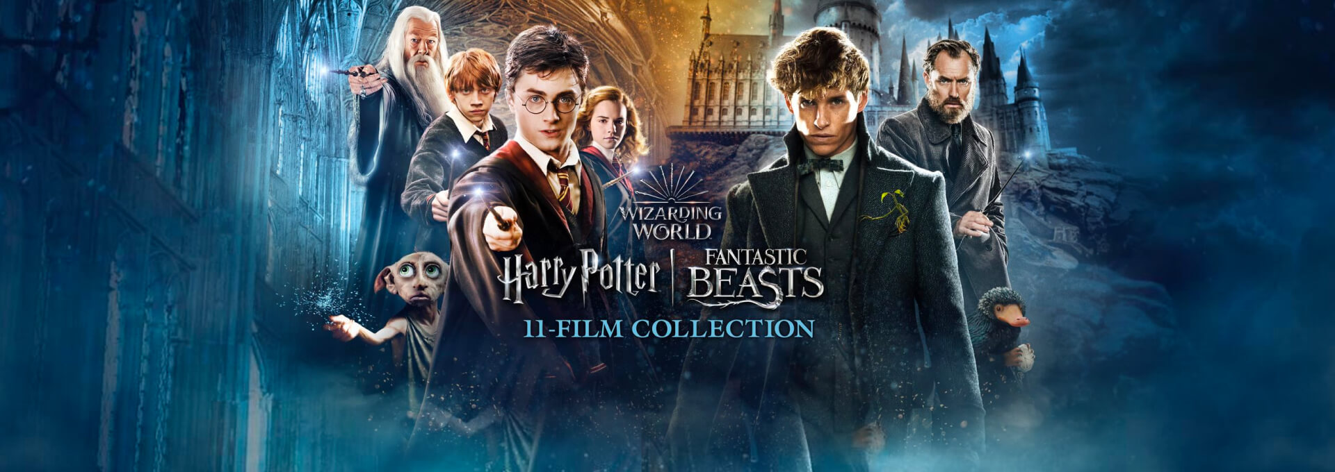 Fantastic Beasts: 11-Film Collection